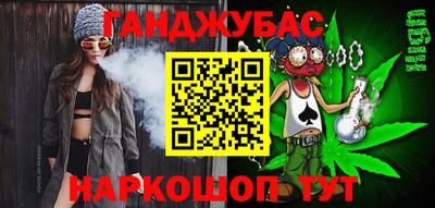 Альфа ПВП Малгобек