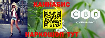 Альфа ПВП Малгобек