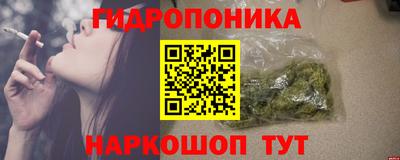 Альфа ПВП Малгобек