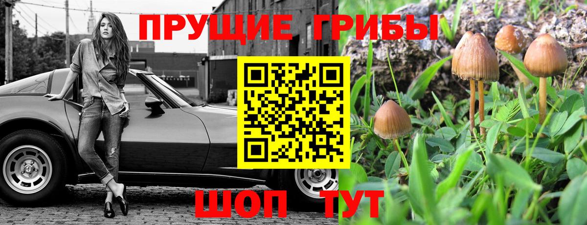 Псилоцибиновые грибы мицелий Углич