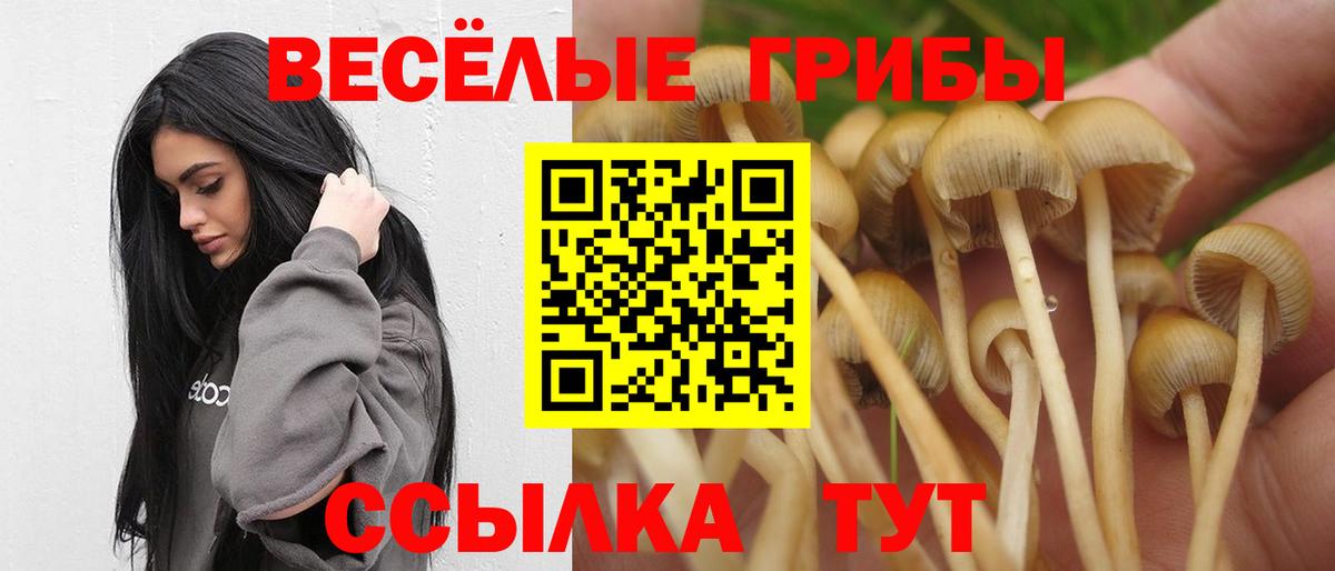 Псилоцибиновые грибы мицелий  Вход с VPN  Углич 